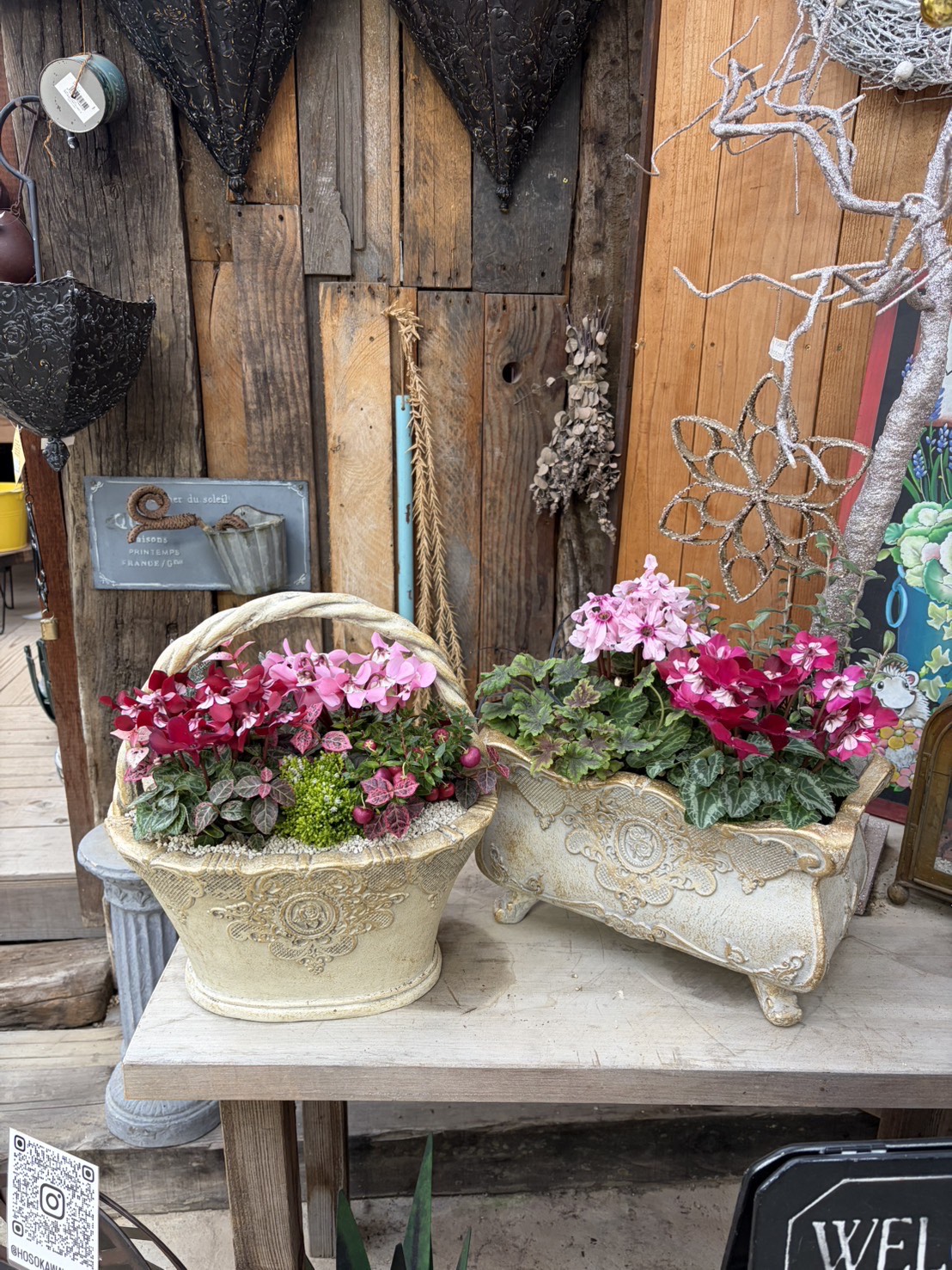 12月 寄せ植え教室