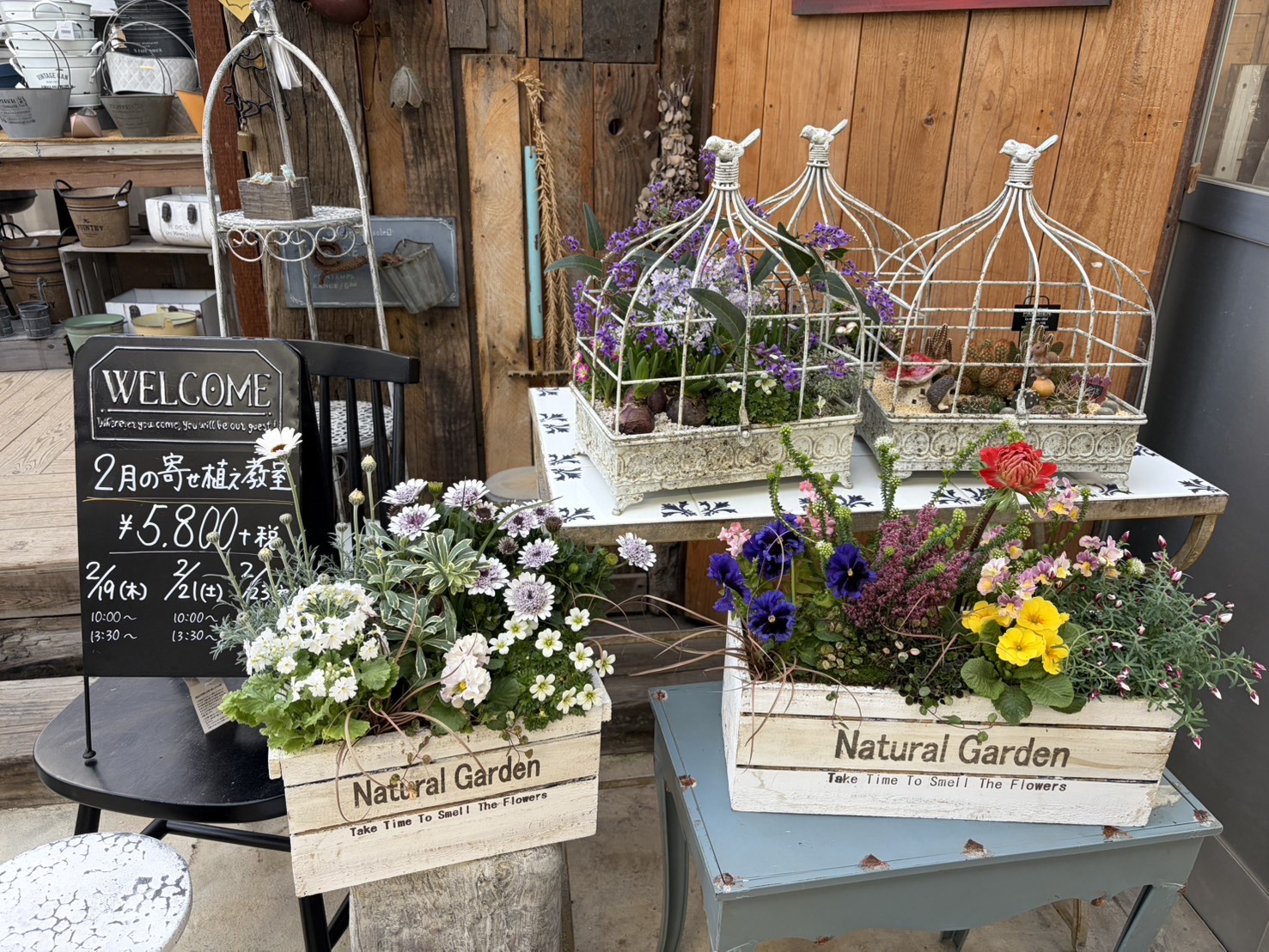 2月 寄せ植え教室