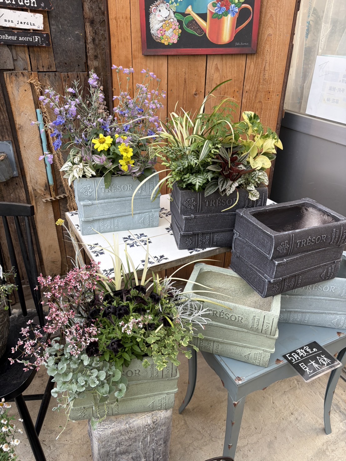 5月 寄せ植え教室
