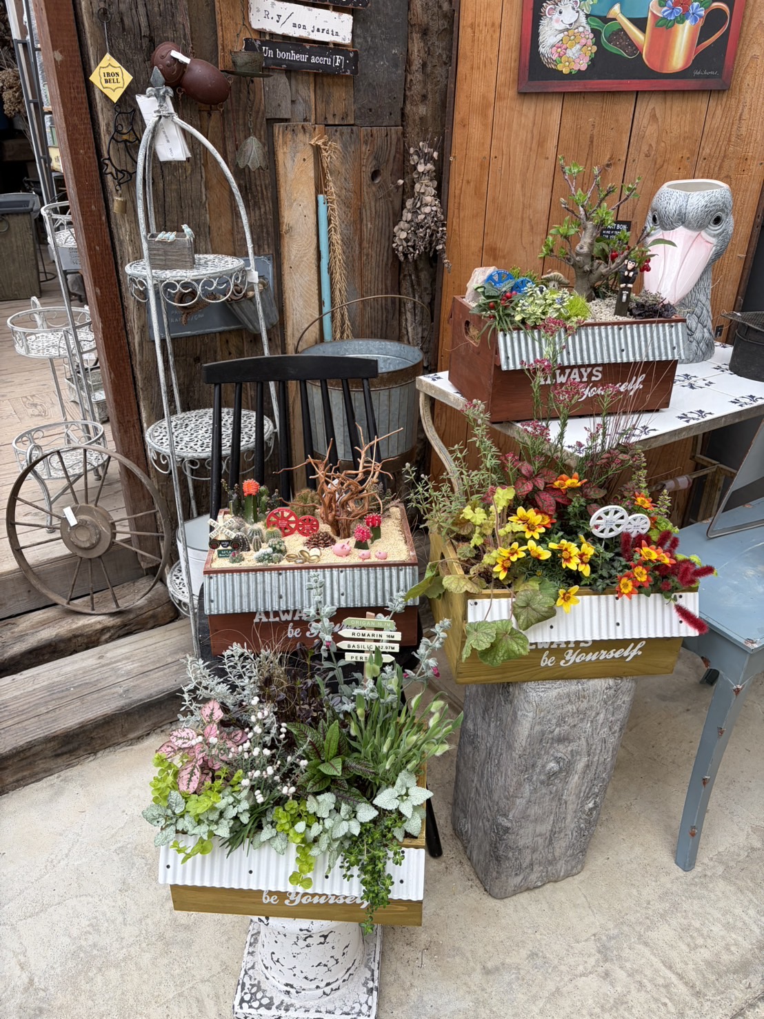 4月 寄せ植え教室