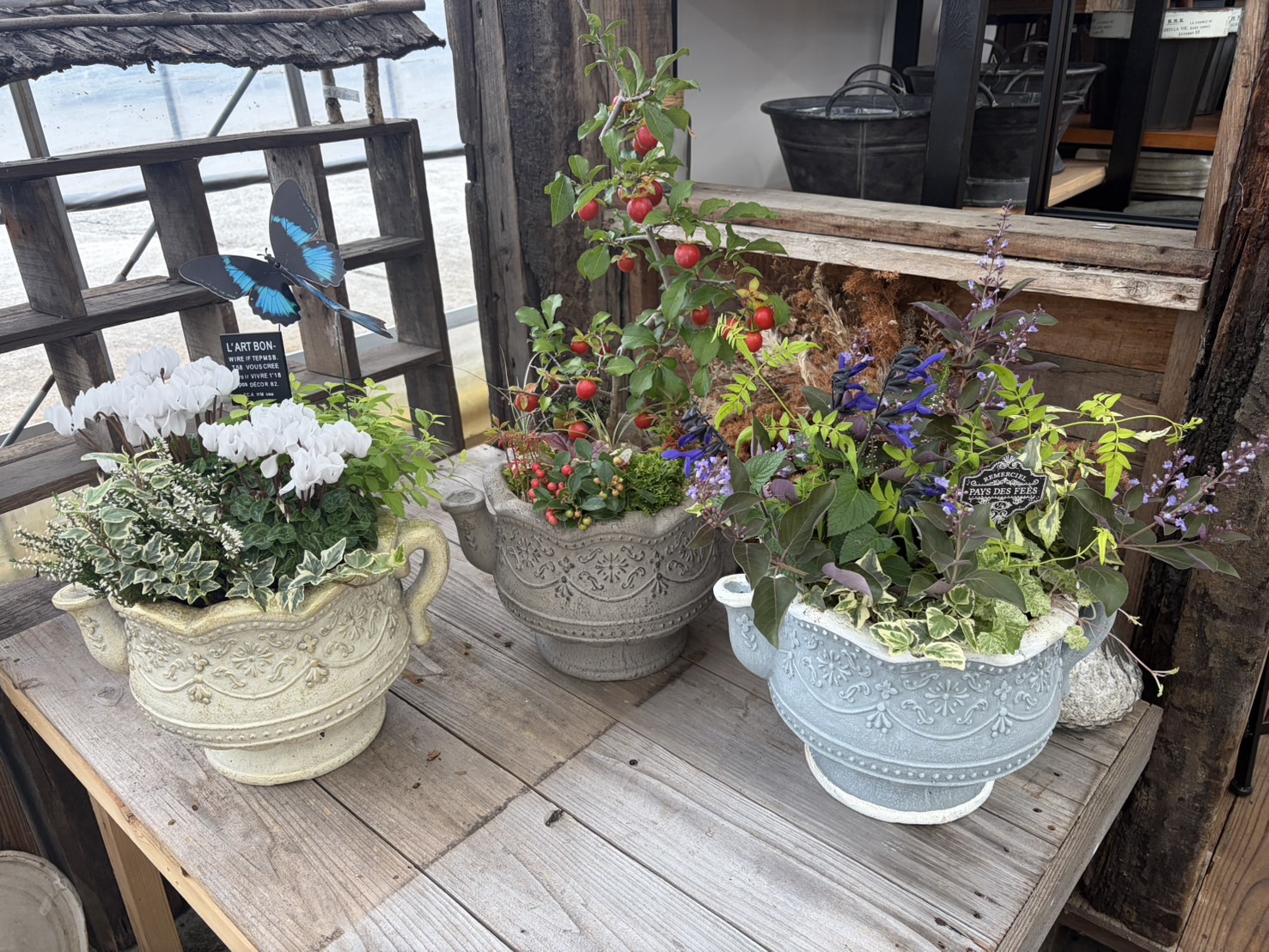 10月 寄せ植え教室